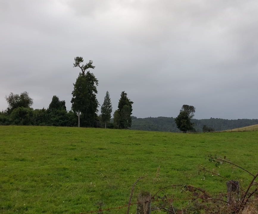 Predios - Pailahue