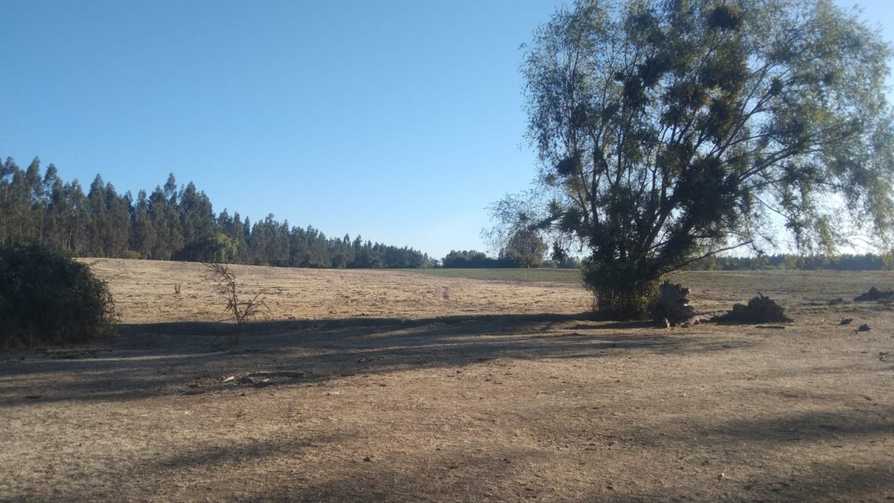 Predios - Parcela 38 Retiro