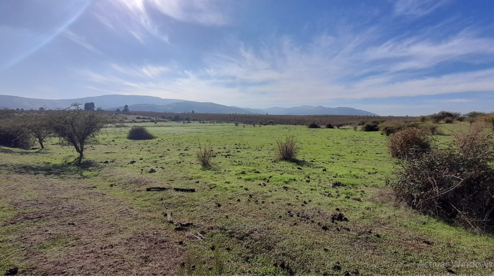 Predios - Parcela 4 San Rafael