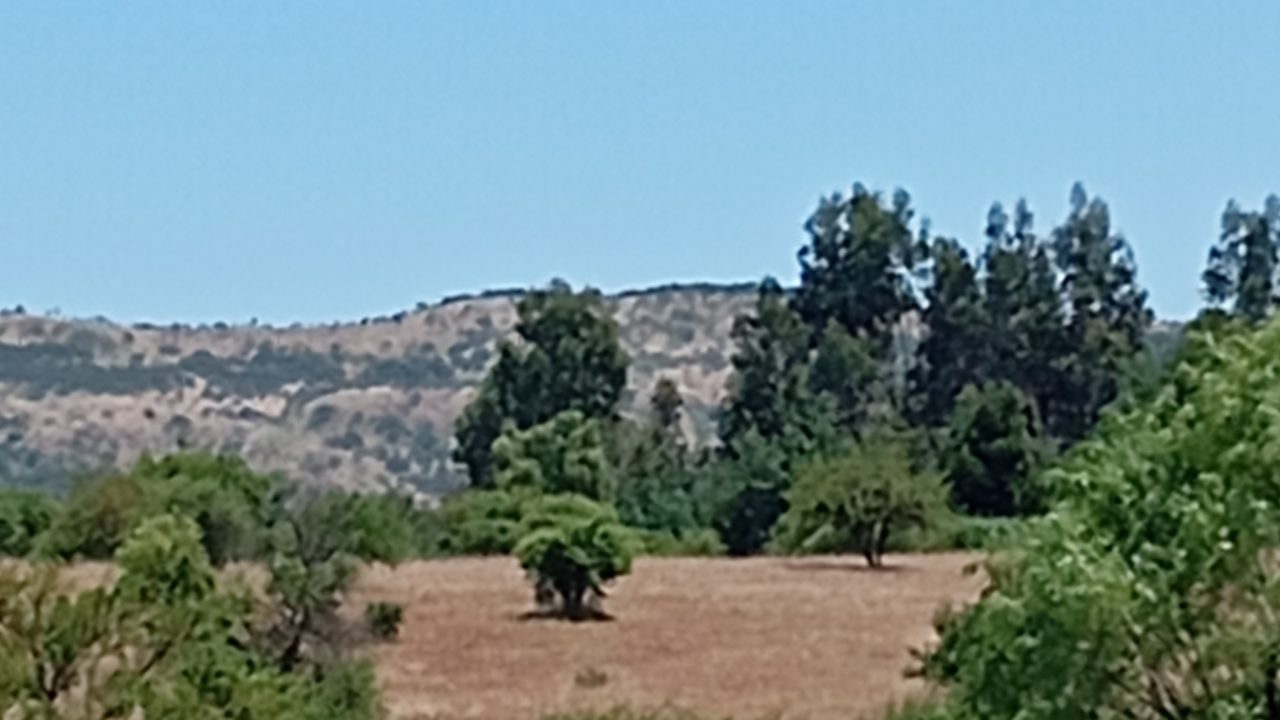 Predios - Parcela 4 San Rafael