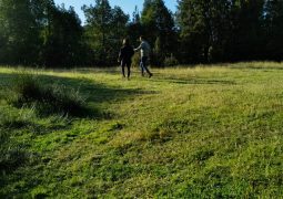 Predios - Terreno Quillaipe