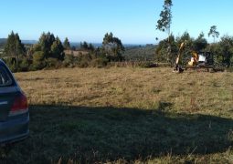 Predios - Los Muermos 14