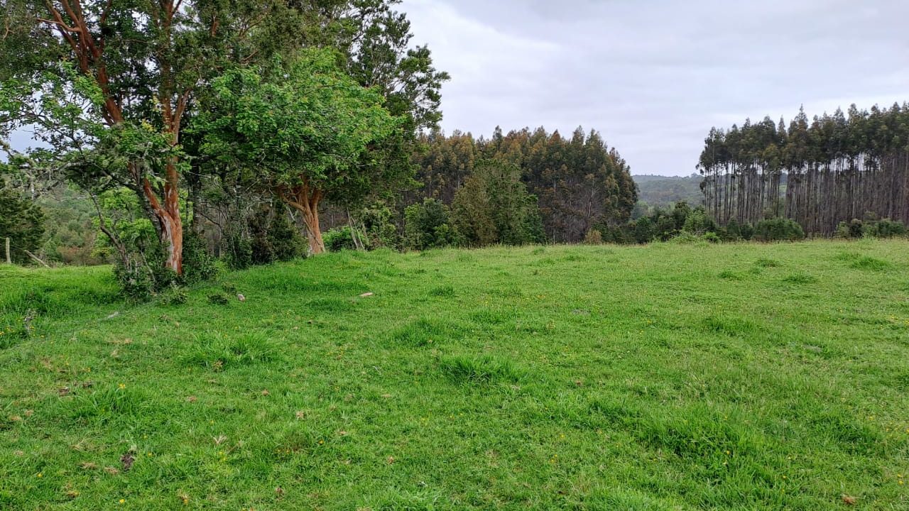 Predios - Agrícola Calbuco