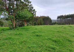 Predios - Agrícola Calbuco