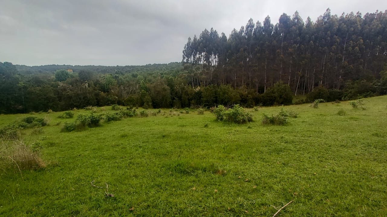 Predios - Agrícola Calbuco