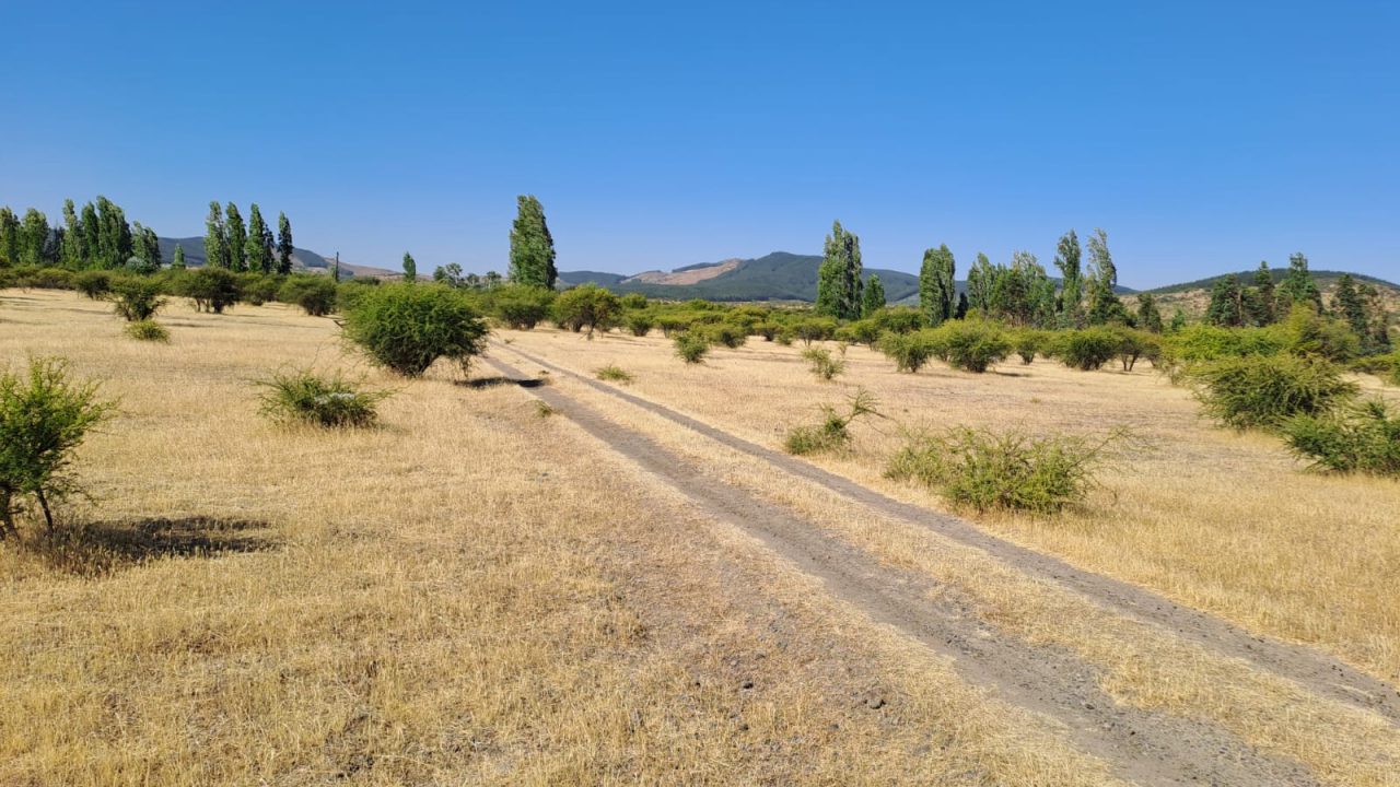 Predios - Huinganes