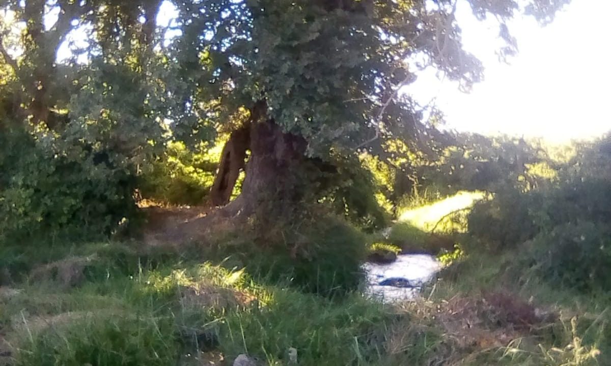 Predios - El Recurso Melipilla