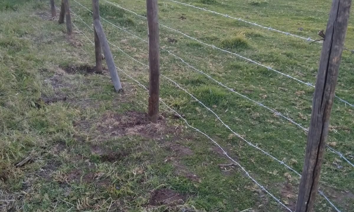 Predios - El Recurso Melipilla