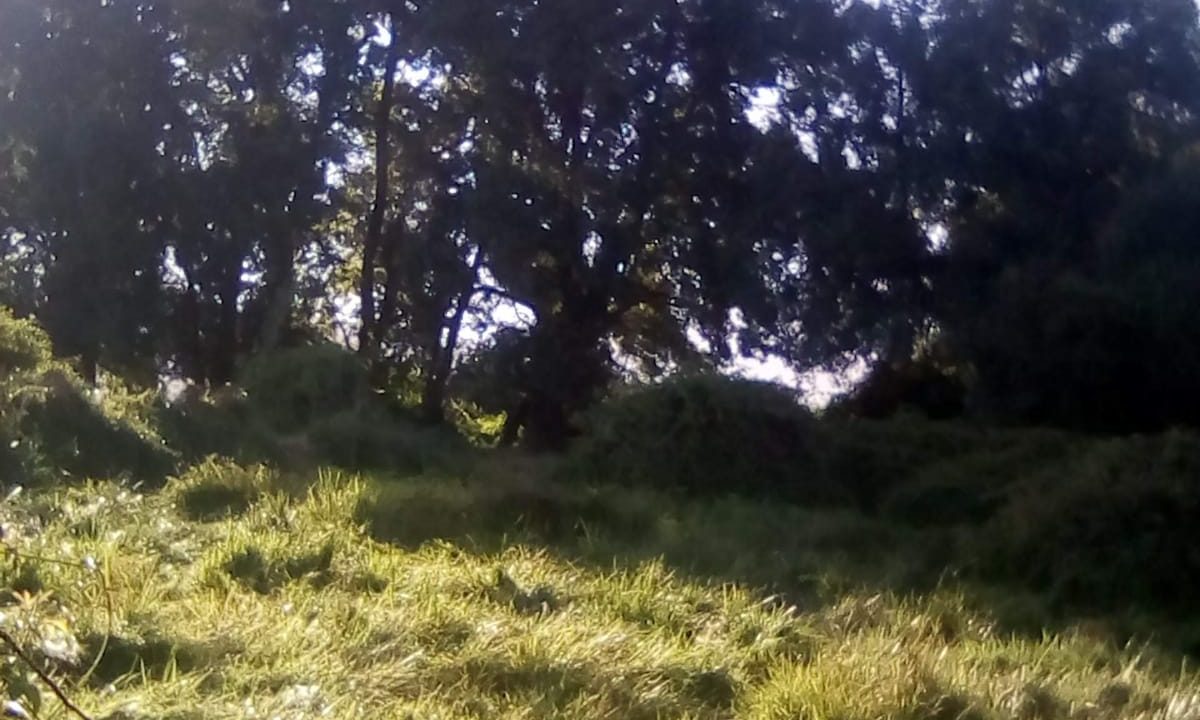 Predios - El Recurso Melipilla