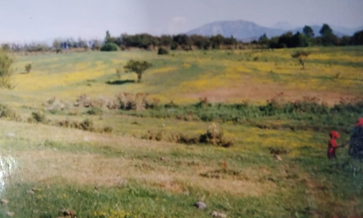 Predios - El Recurso Melipilla