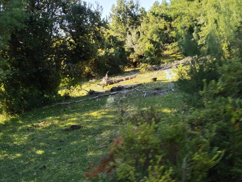 Predios - Valdivia 10