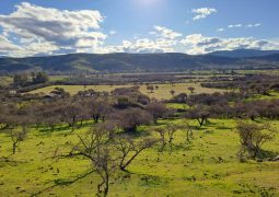 Predios - Fundo El Milagro