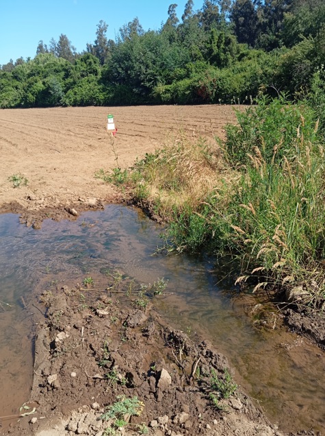 Predios - Fundo San Dario