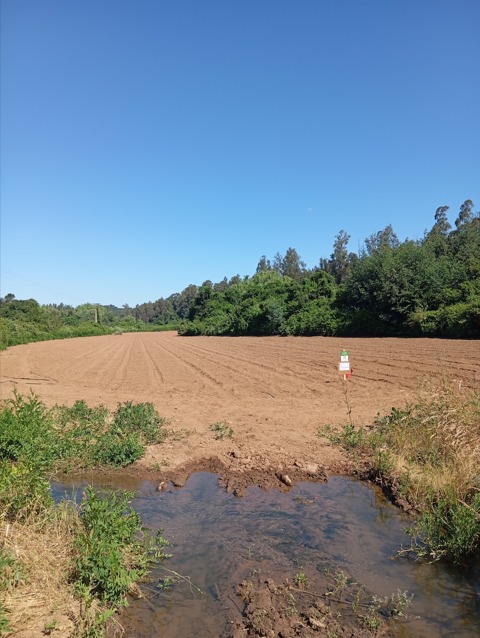 Predios - Fundo San Dario