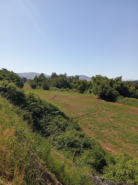 Predios - Fundo San Dario