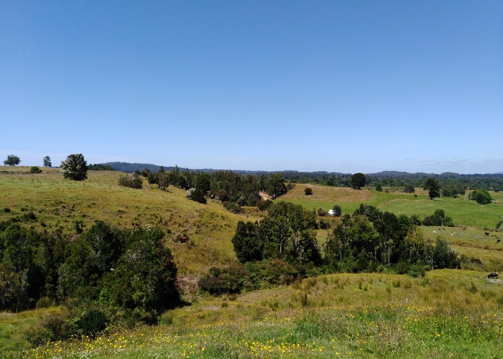 Predios - Huite Santa Rosa