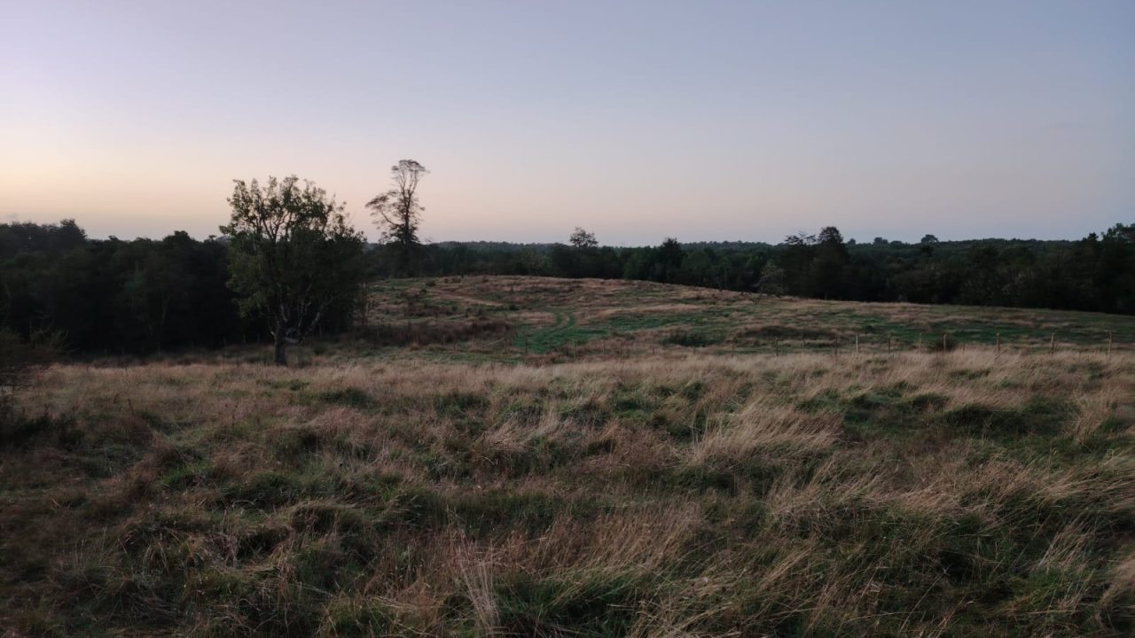 Predios - Huite Santa Rosa
