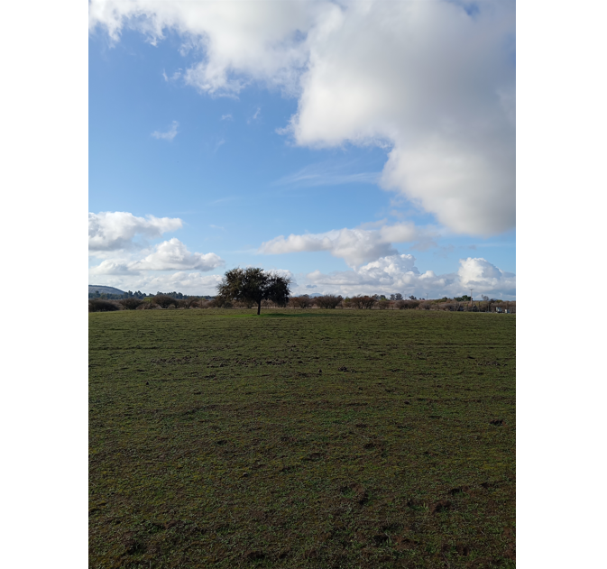 Predios - Lote A Capellania