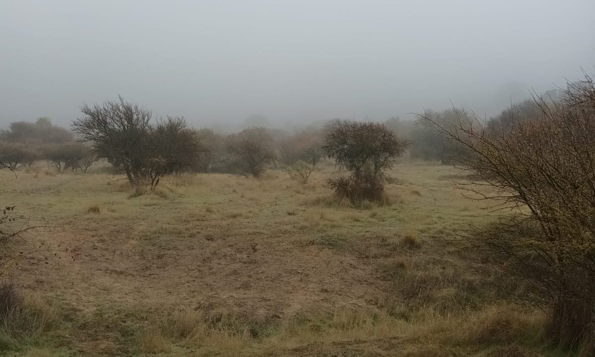 Predios - Caracol Capellania
