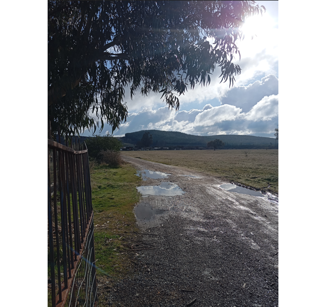 Predios - Lote A Capellania