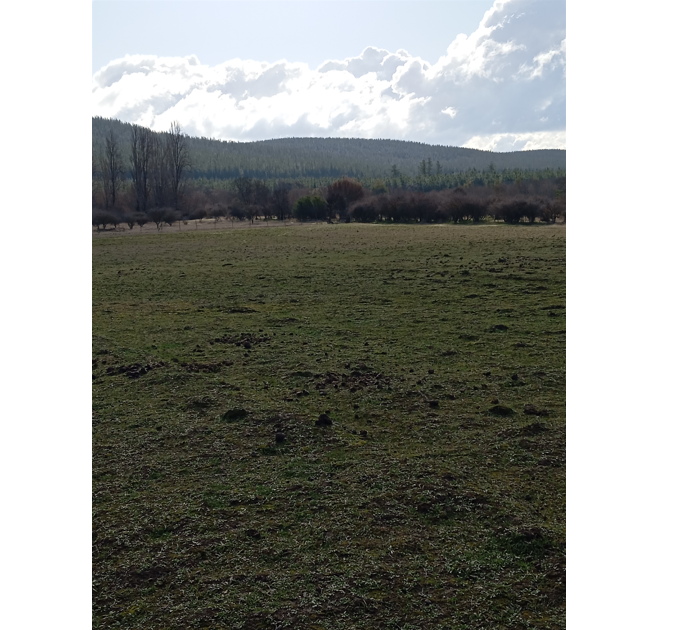 Predios - Lote A Capellania