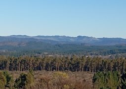 Predios - Bosque Las Garzas