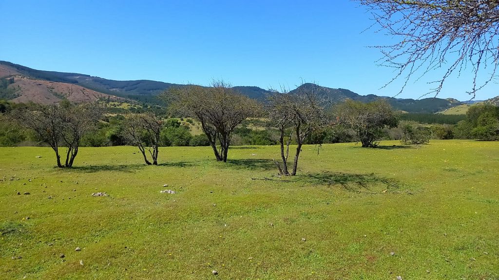 Predios - Fundo Cerro Negro