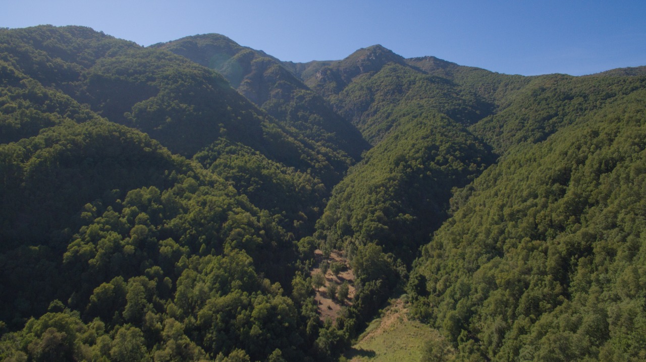 Predios - Fundo El Encierro