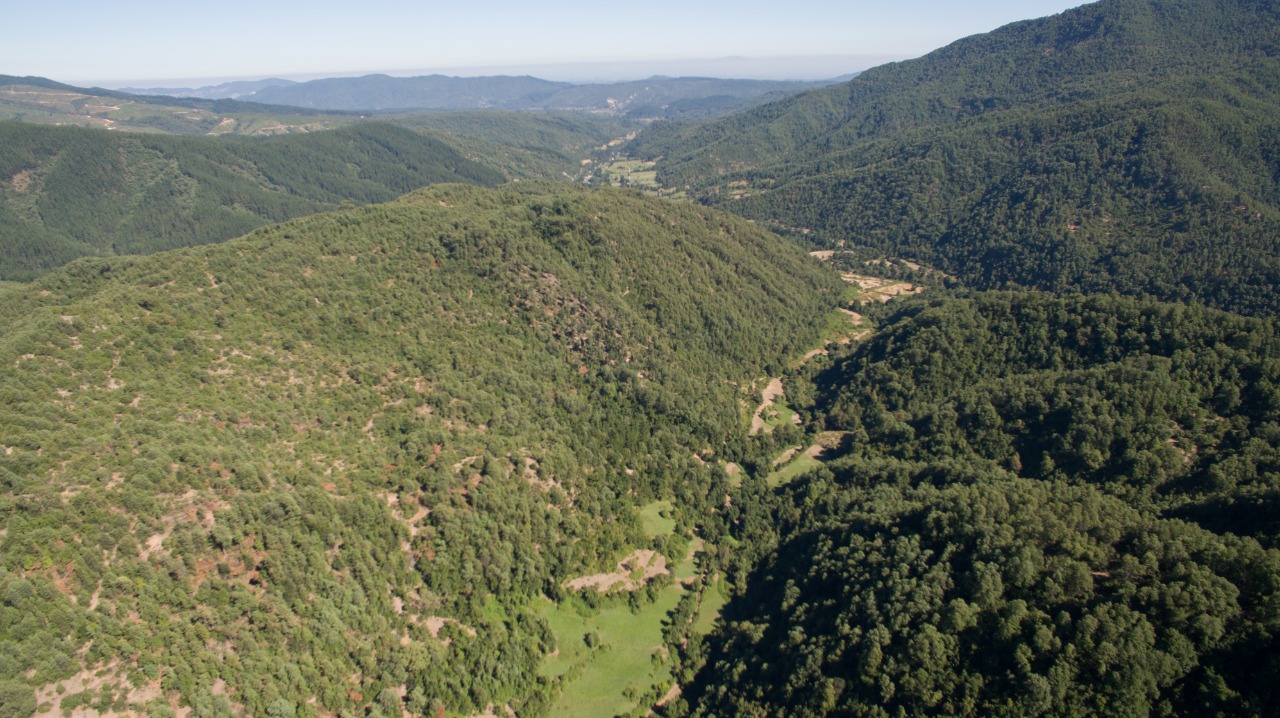 Predios - Fundo El Encierro