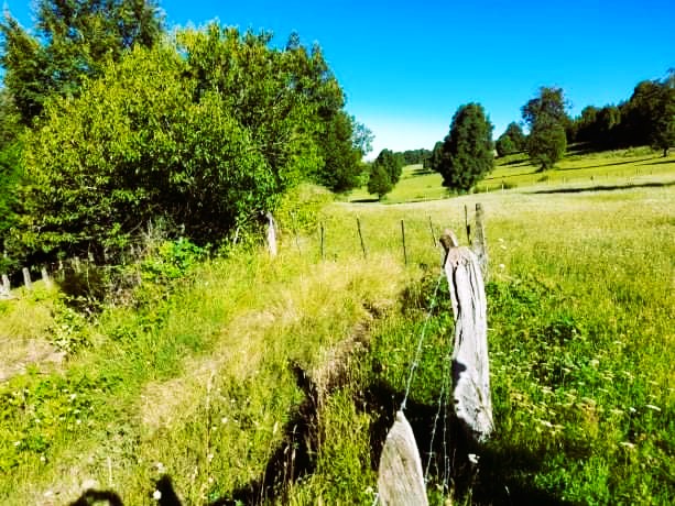 Predios - Predio Manchuria