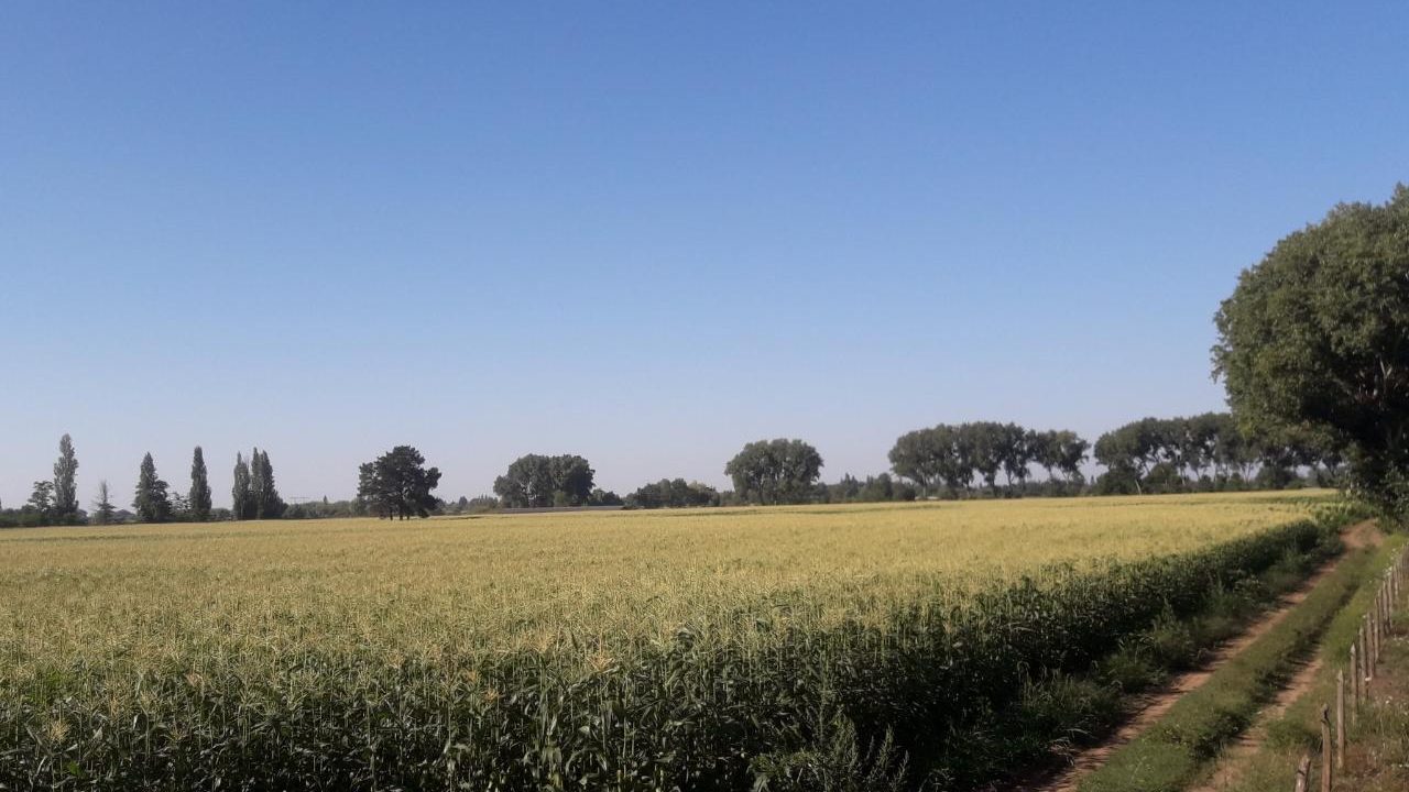 Predios - Predio La Palma