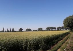 Predios - Predio La Palma