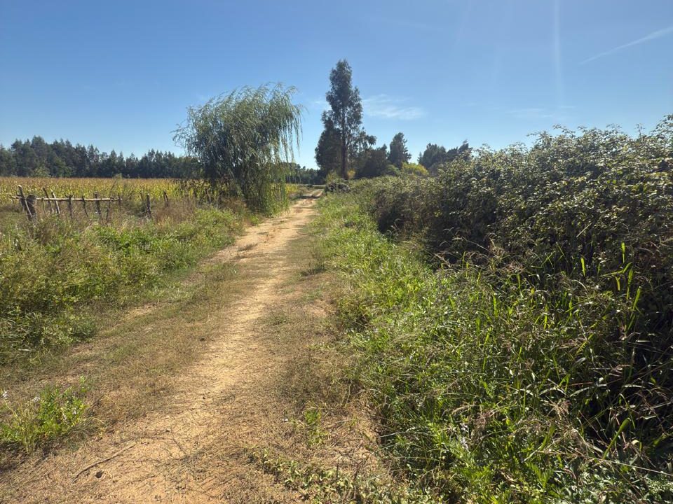 Predios - Los Aromos