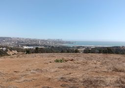 Predios - Parcela 4 Las Gaviotas