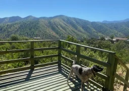 Predios - Parcela La Aurora