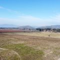 Predios - Campo Peralillo 21