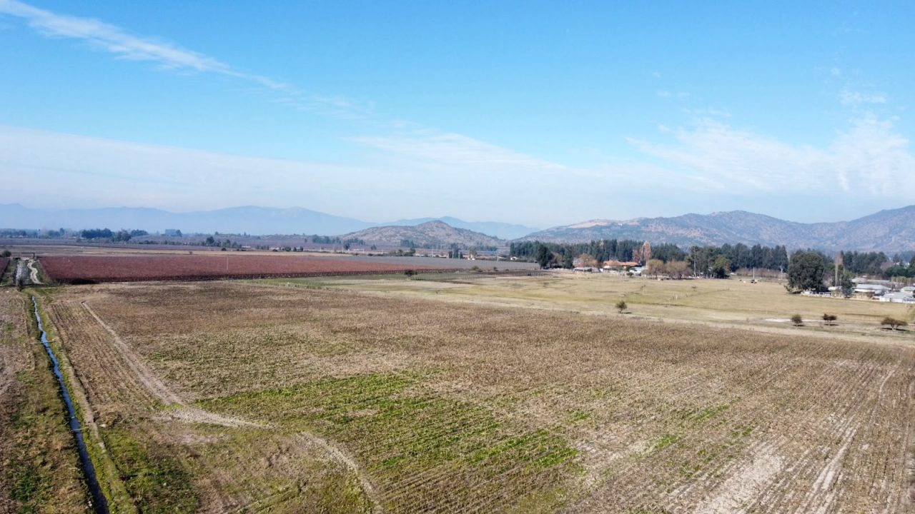Predios - Campo Peralillo 21