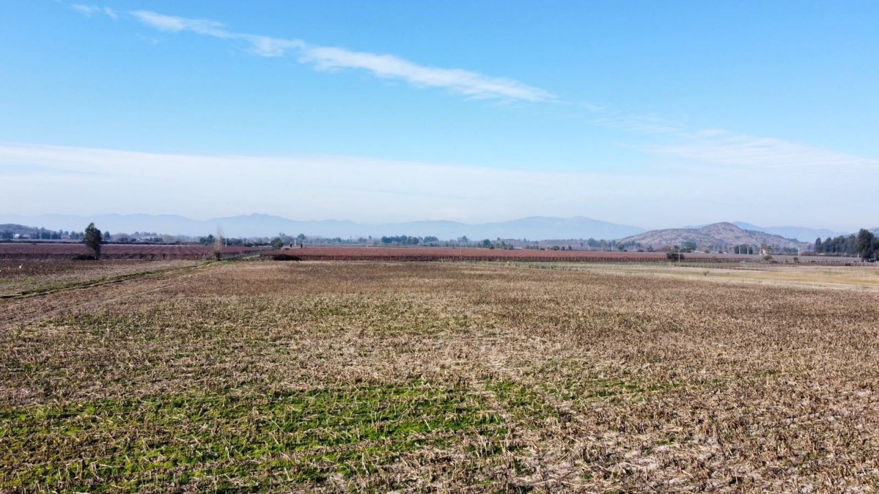 Predios - Campo Peralillo 21