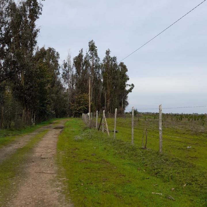 Predios - Monteflor