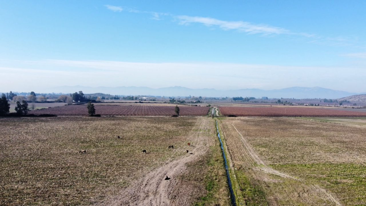 Predios - Campo Peralillo 21