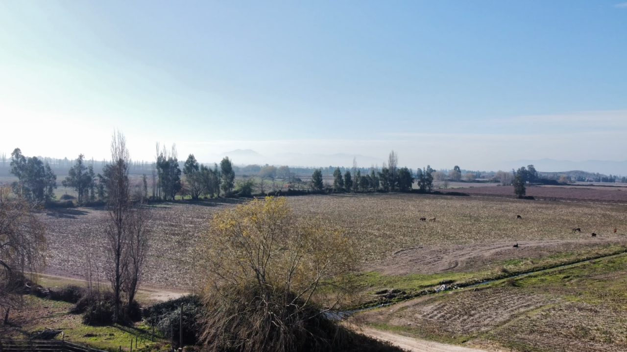 Predios - Campo Peralillo 21