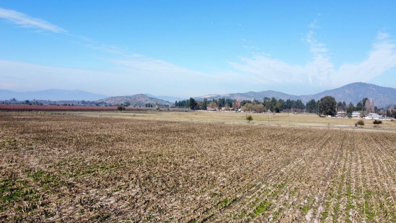 Predios - Campo Peralillo 21