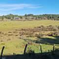 Predios - Campo Ilque