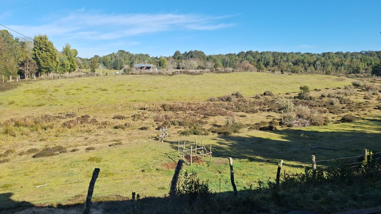 Predios - Campo Ilque