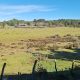 Predios - Campo Ilque
